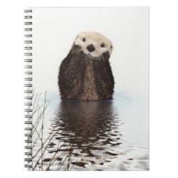 Carnet de note loutre
